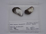 P1232758-t.jpg