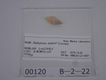 P1232759-t.jpg