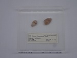 P1232760-t.jpg