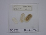 P1232761-t.jpg
