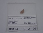P1232763-t.jpg