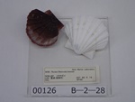 P1232765-t.jpg