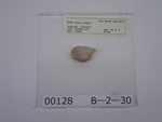 P1232767-t.jpg