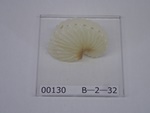 P1232769-t.jpg