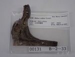 P1232770-t.jpg