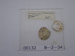 P1232771-t.jpg