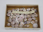 P1232772-t.jpg