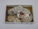 P1232773-t.jpg