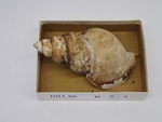 P1232775-t.jpg