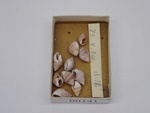 P1232780-t.jpg