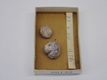 P1232781-t.jpg
