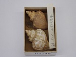 P1232785-t.jpg