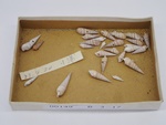 P1232788-t.jpg