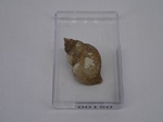 P1232789-t.jpg