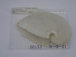 P1232792-t.jpg