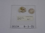 P1232793-t.jpg