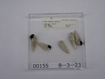 P1232794-t.jpg