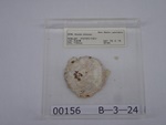 P1232795-t.jpg