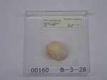 P1232799-t.jpg