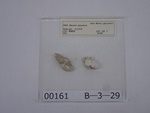P1232800-t.jpg