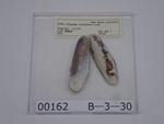 P1232801-t.jpg