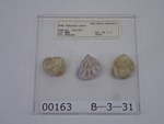 P1232802-t.jpg