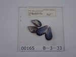 P1232804-t.jpg