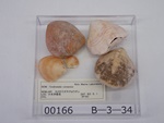 P1232805-t.jpg
