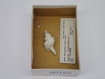 P1232807-t.jpg
