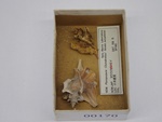 P1232809-t.jpg