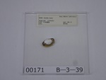 P1232810-t.jpg
