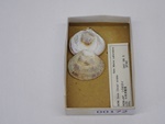 P1232811-t.jpg