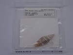 P1232820-t.jpg