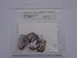 P1232822-t.jpg