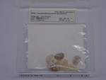 P1232823-t.jpg