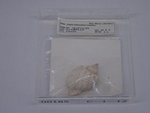 P1232824-t.jpg