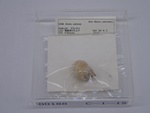 P1232827-t.jpg
