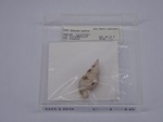 P1232828-t.jpg