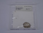 P1232832-t.jpg