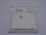 P1232834-t.jpg