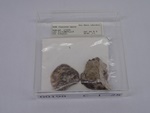 P1232837-t.jpg
