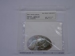 P1232840-t.jpg