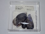 P1232841-t.jpg