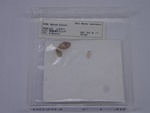 P1232842-t.jpg