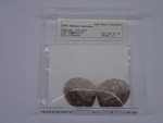 P1232846-t.jpg