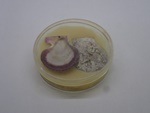 P1242847-t.jpg