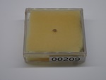 P1242848-t.jpg