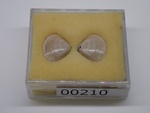 P1242849-t.jpg