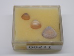 P1242850-t.jpg