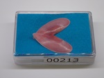 P1242852-t.jpg